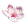 Lovely-Sakura-Wings's avatar