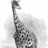 ltsaGiraffe's avatar