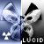 lucidentropy's avatar