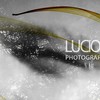 lucivaldofernandes's avatar