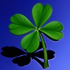 LuckyCloversArt's avatar
