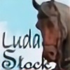 LuDa-Stock's avatar