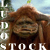 ludo-stock's avatar