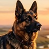 luke6112's avatar
