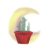 luna-de-cactus's avatar