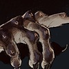 lunalanu's avatar