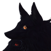 Lunar-Crows's avatar