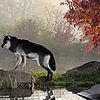Lunar-Odyssey's avatar
