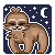 lunar-sloth's avatar