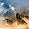 Lunarwolfhz's avatar