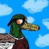 LunaticBiscuit's avatar