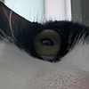 LunaticLupine's avatar