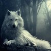 lunawolf812's avatar
