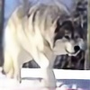 lunca-wolf's avatar