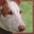 lunchbox-pixels's avatar