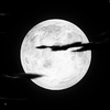 . by AIFootGoddesses on DeviantArt