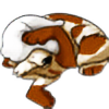 lupis-vulpes248's avatar