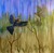 lydehawke's avatar