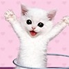 lynnace123's avatar