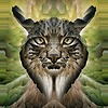 Lynx-Cat-Blues's avatar