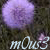 m0us3bit's avatar