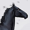 maavess's avatar