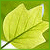 Maawi's avatar