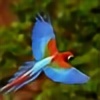 macaw22's avatar