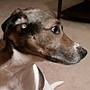 MachPrach's avatar