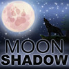 MadamMoonShadow's avatar