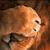 MaestroLeon's avatar