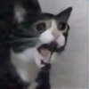 magii-cat's avatar