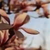 magnoliabud's avatar