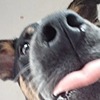 MaiqtheLairr's avatar