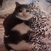 MakaroshkicCblPOM's avatar
