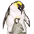 mama-penguin's avatar