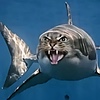 mamamakysa's avatar