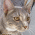 Mancatplz's avatar