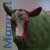 mannel's avatar