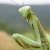 mantisesplz's avatar