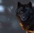 Mara-Dunkelwolf's avatar
