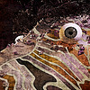 MarcVart's avatar