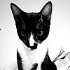 marianerita's avatar