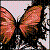 mariposa-rosa's avatar