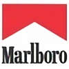 marlboroplz's avatar