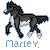 Marleylovesstargate's avatar