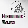 MarmoseticWolves's avatar