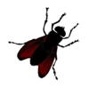 marryredfly's avatar