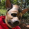 maskedpup's avatar