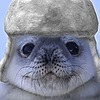 MattWilliam09's avatar